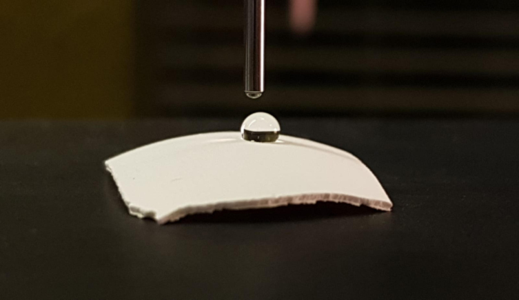 A drop of water balanced on a pelican eggshell fragment