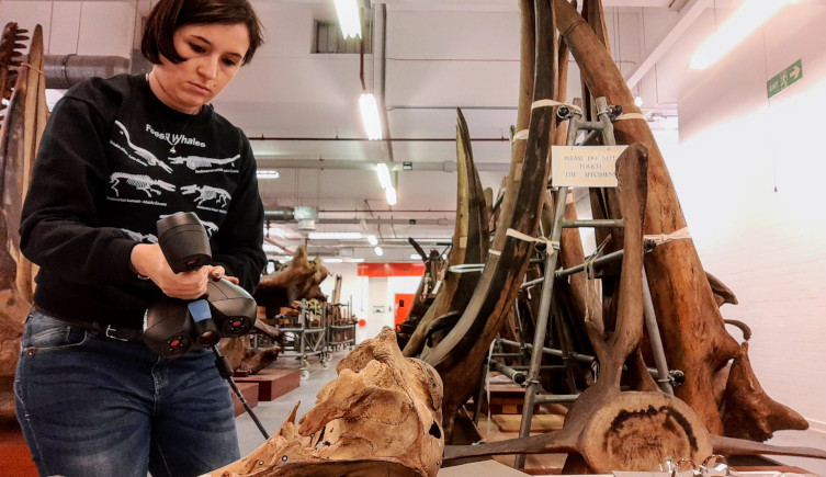 Dr Agnese Lanzetti scans a whale skull surrounded by bones