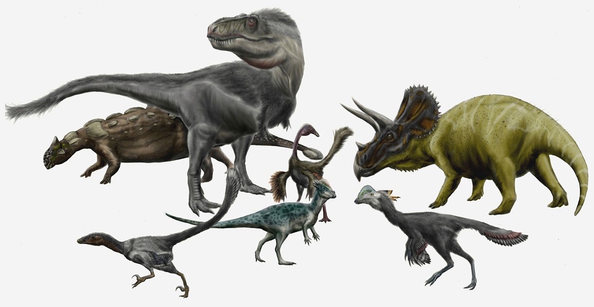 Dinosaurs Dinosaurs Dinosaurs Dinosaurs Dinosaurs Dinosaurs