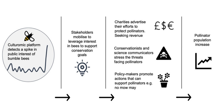 A diagram showing how the data can be applied using the example of bumblebees