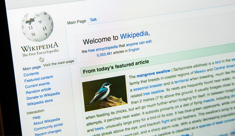 The homepage of wikipedia featuring an article on the mangrove swallow