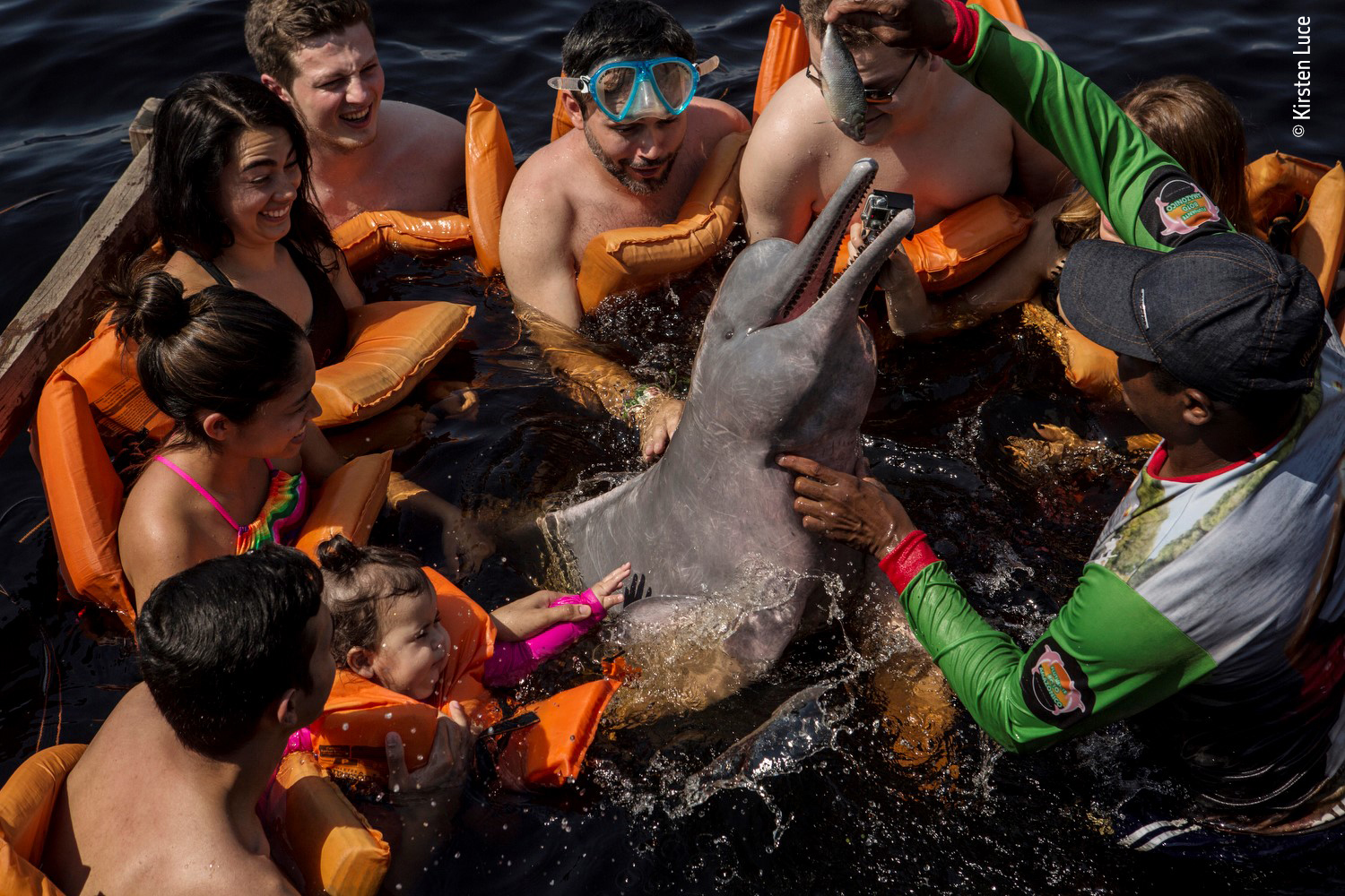 A photograph of a group of people in a river circled tightly around a dolphin .