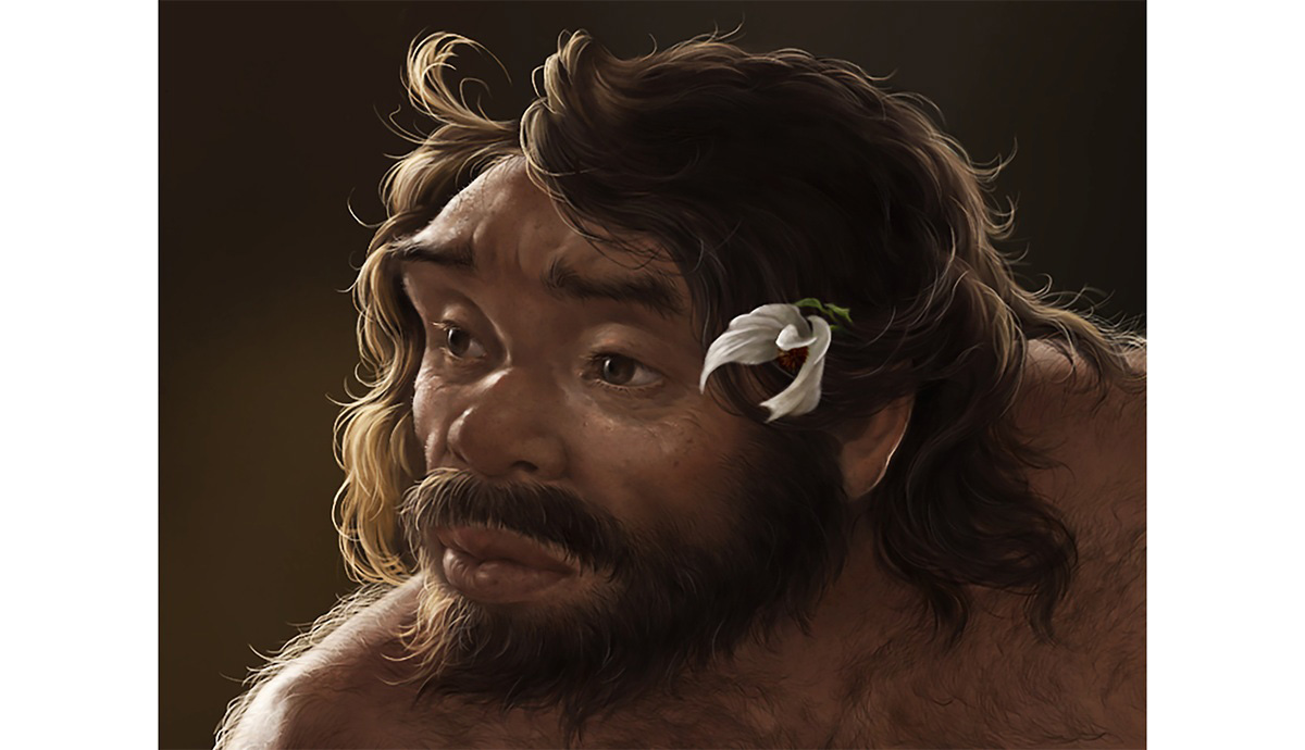 A close up view of the artistic illustration of Yunxian man. 