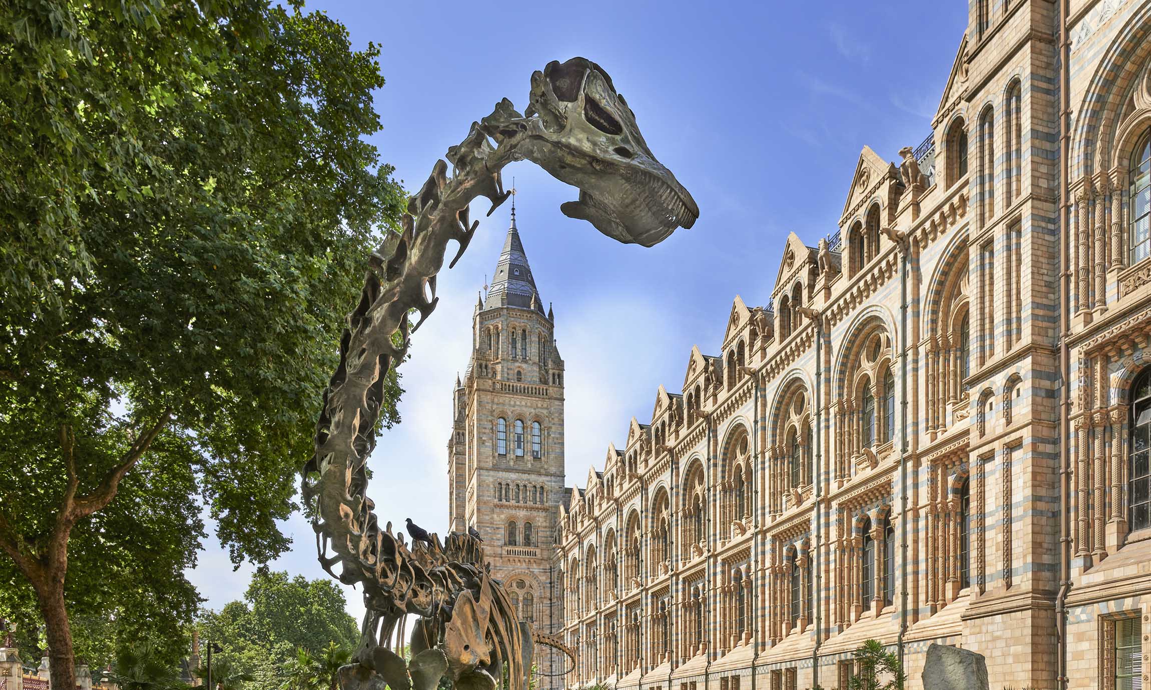Fern, our big bronze dinosaur, in front of our building