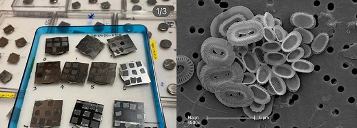 Two photographs: one showing nannofossil stubs and the other a microscopic image of the nannofossils