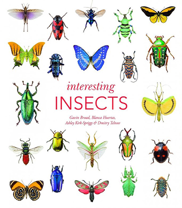 Interesting insects book cover