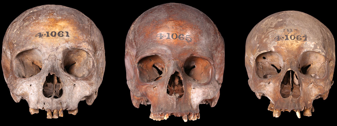 A series of skulls from Cannon Street 