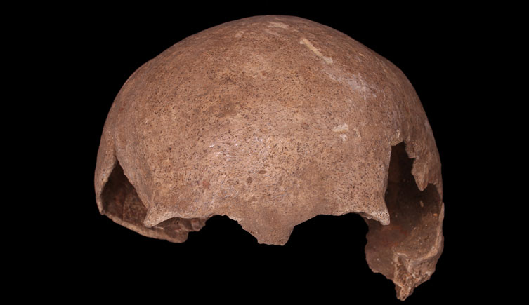 Adult cranium from Goswell Street sewers