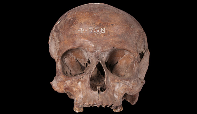 Adult male from Fountain Street