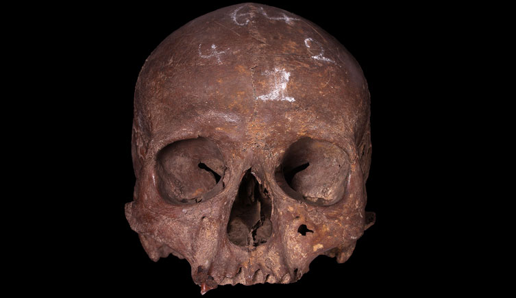 Adult, female cranium from East Ham Marshes