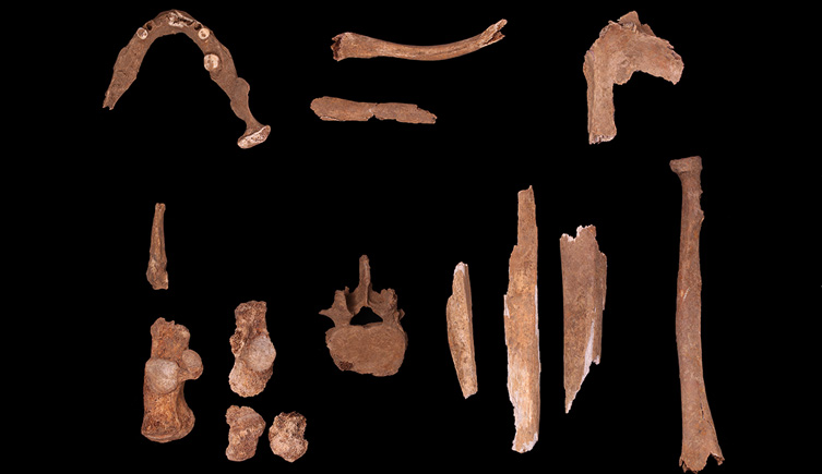  Human remains from wooden coffin in Chelsea