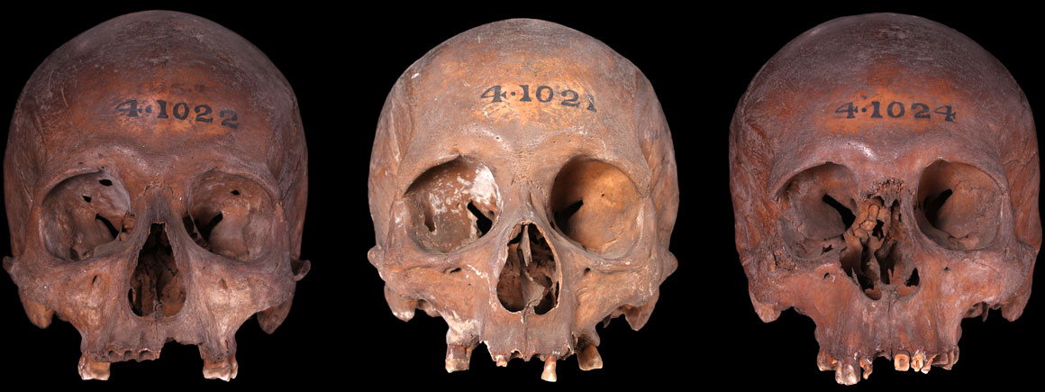 A series of skulls from London Wall