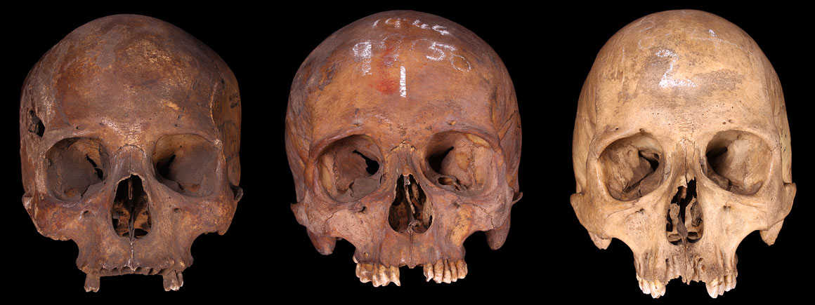 Post-medieval crania from various locations in London