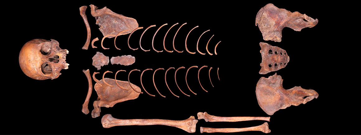 Adult, male excavated from alluvial sediment in Greenwich