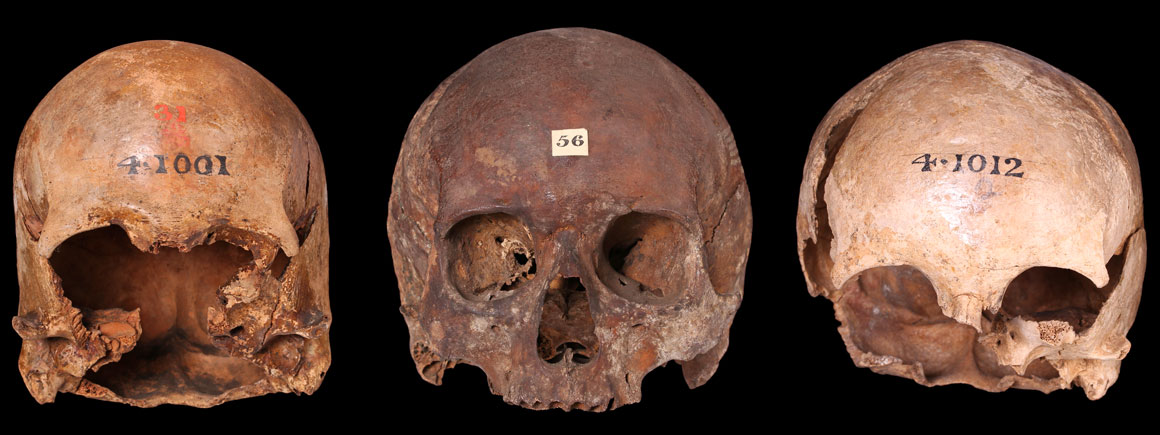 A series of skulls from Cannon Street 