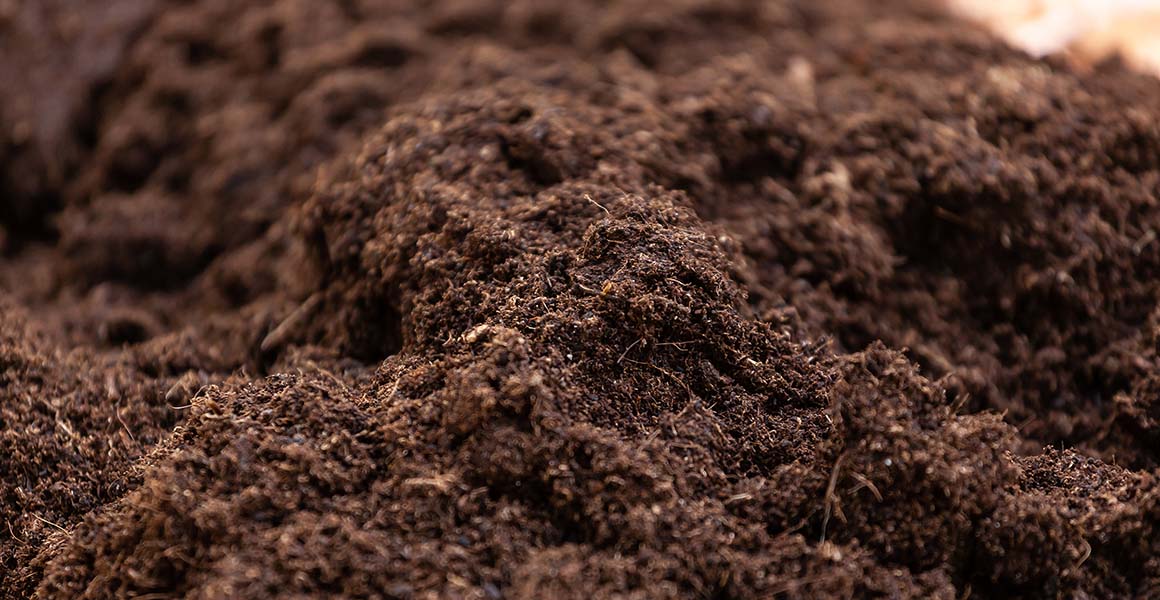 A close up picture of soil. 