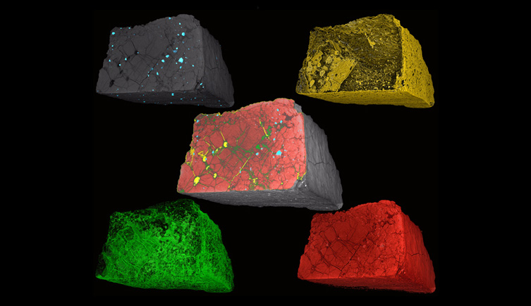 Phases in the martian meteorite Chassigny