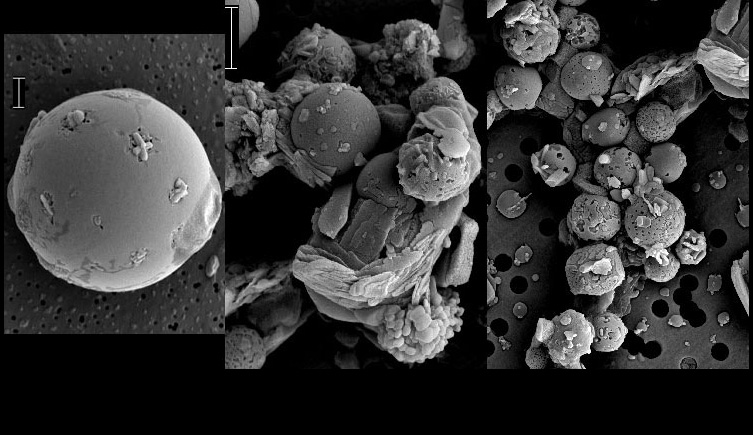 Secondary electron images of volcanic ash