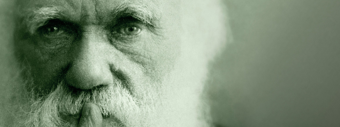 Poster from the Museum’s Darwin exhibition