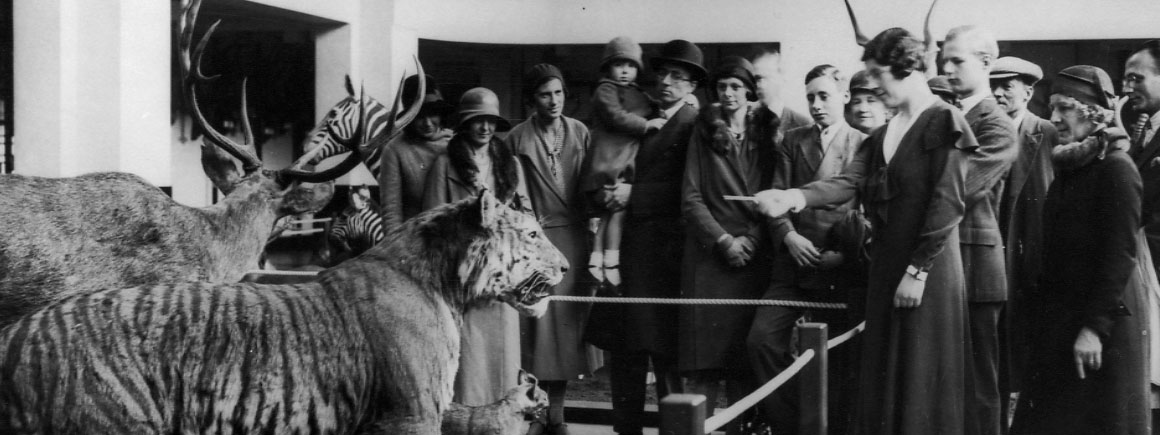 Photograph of Guide Lecturer, Mona Edwards, at the Museum’s exhibition of Game Animals of the Empire, 1932. Catalogue number PH/1/5/2/12. 