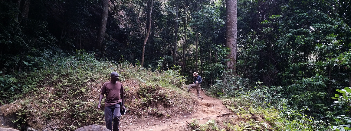 Two men in a forest walking down a road