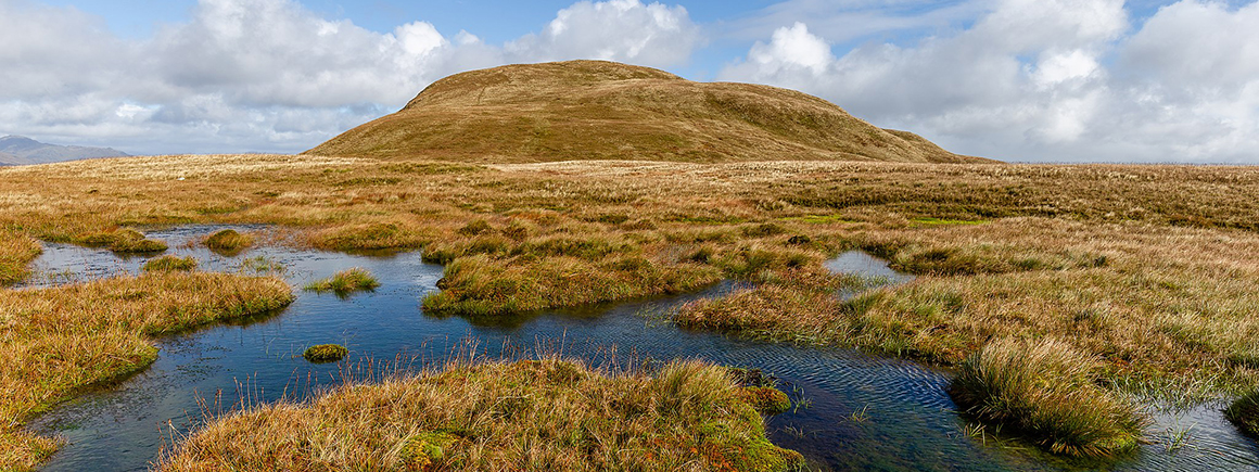 A Scottish peat bog under a blue and cloudy sky