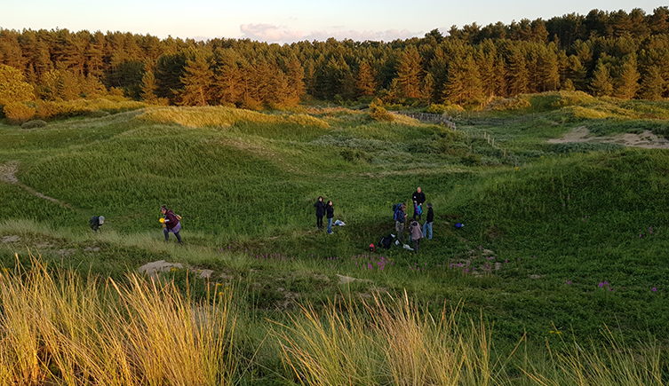 Researchers in a field surrounded by trees and grass