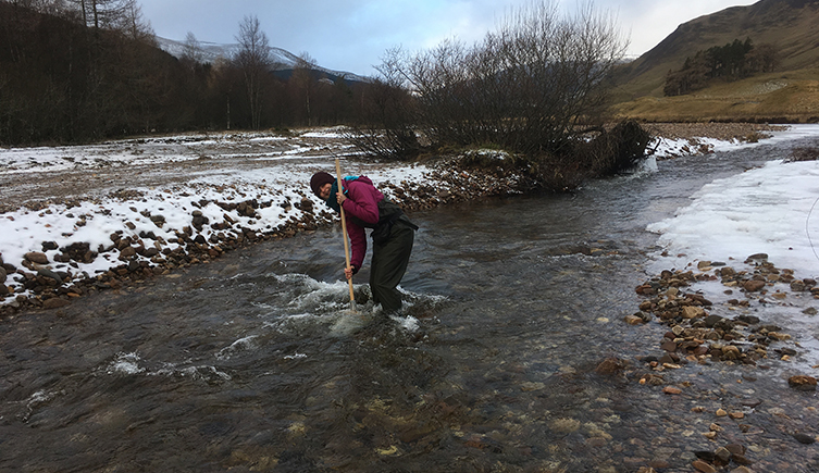 Researcher standing in a cold river with an insect net in the water