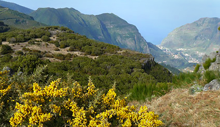 View from Bica da Cana in Madeira