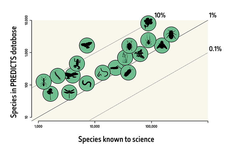 A graph showing the species in the PREDICTS data set