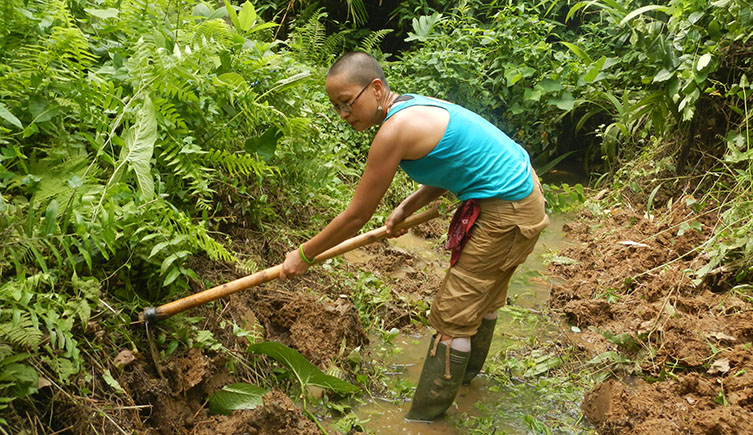 Fieldwork in northeast India