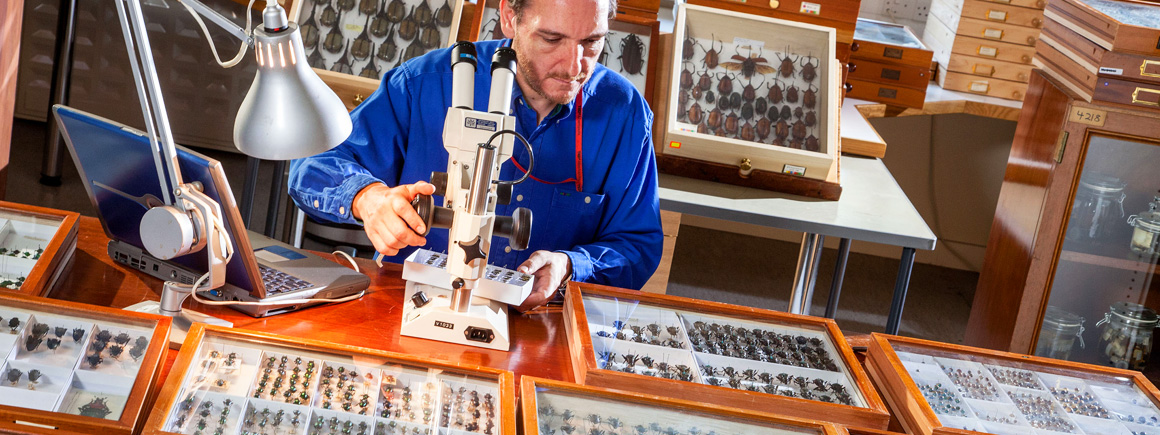 Species identification expert Max Barclay