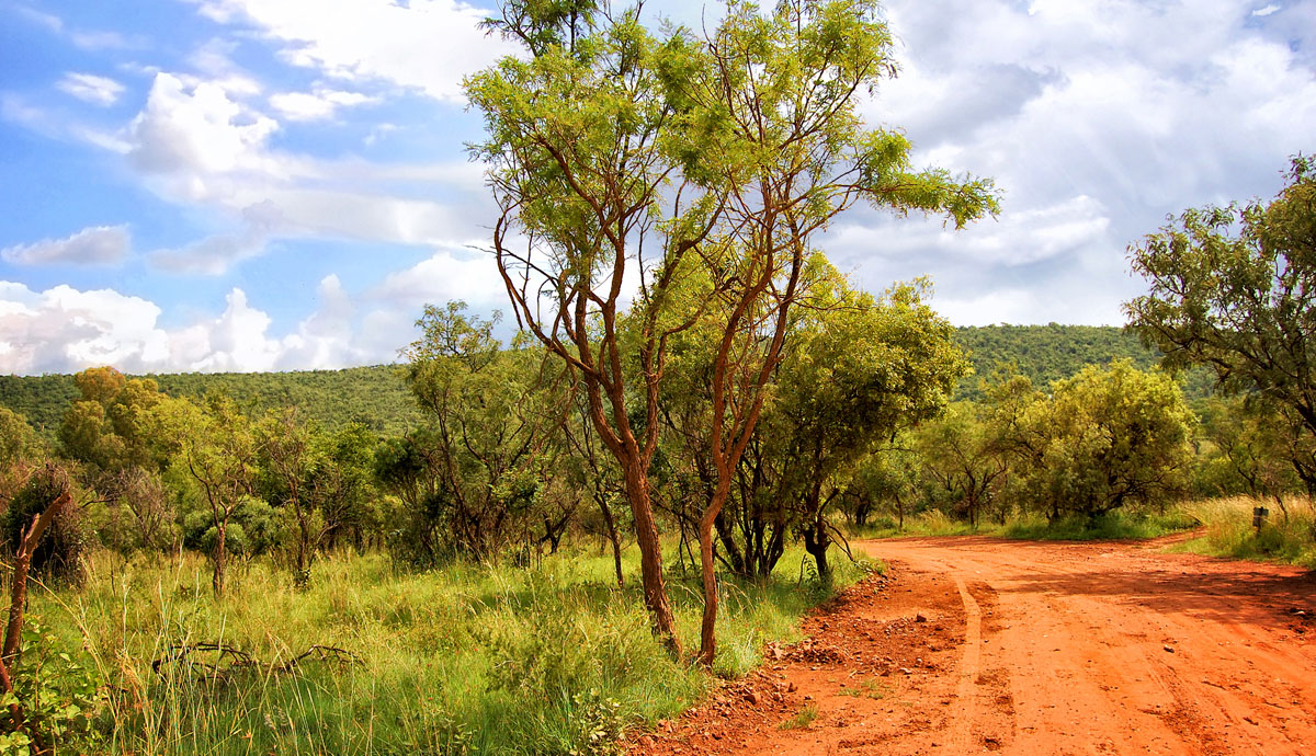 Stock image of a dirt road in rural Africa