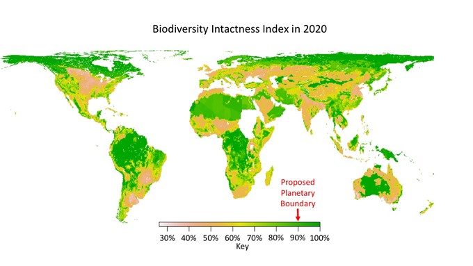 Global map of modelled Biodiversity Intactness Index for the year 2020