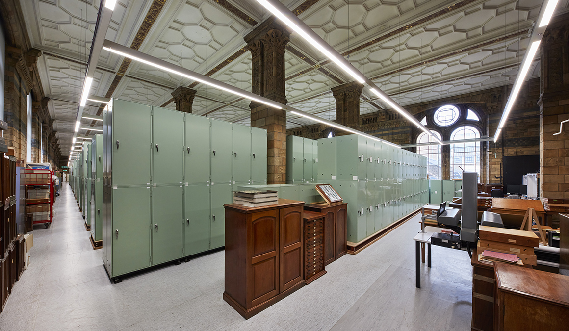 The Origins gallery will reopen as a public gallery as a result of our collections move CREDIT: Trustees of the NHM, London 