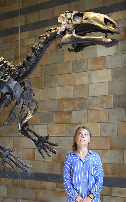 Greta looking up at a mantellisaurus in Hintze Hall