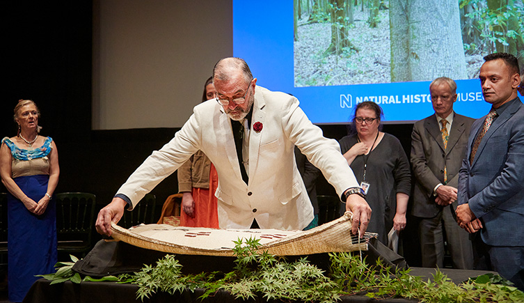 Maui Solomon covers some of the ancestral remains with a cloak of Moriori design 