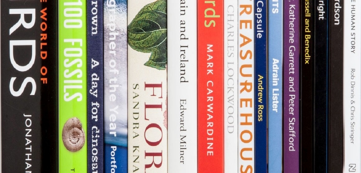 A collection of books published by the Museum