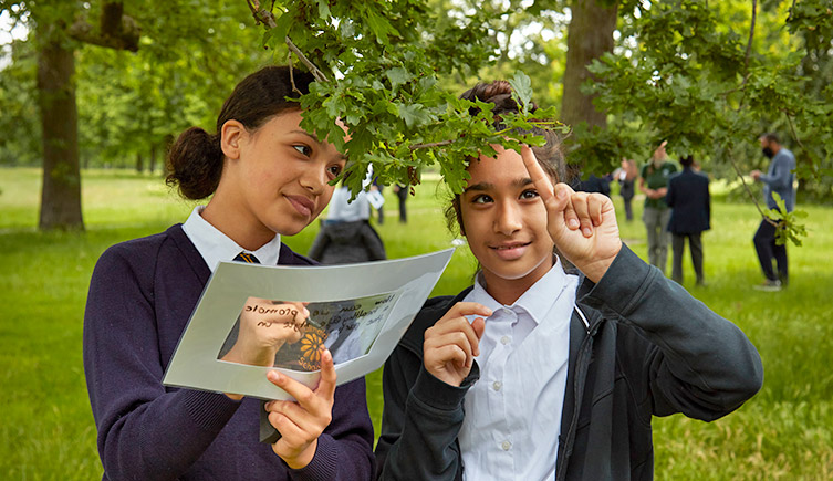 Two school students in a park, examining the leaves on a tree