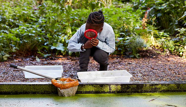 a boy by a pond with a net, a tray and a magnifying glass