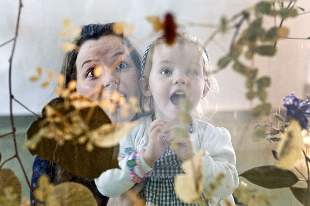 A young child and adult enjoy a Museum display showing different plants