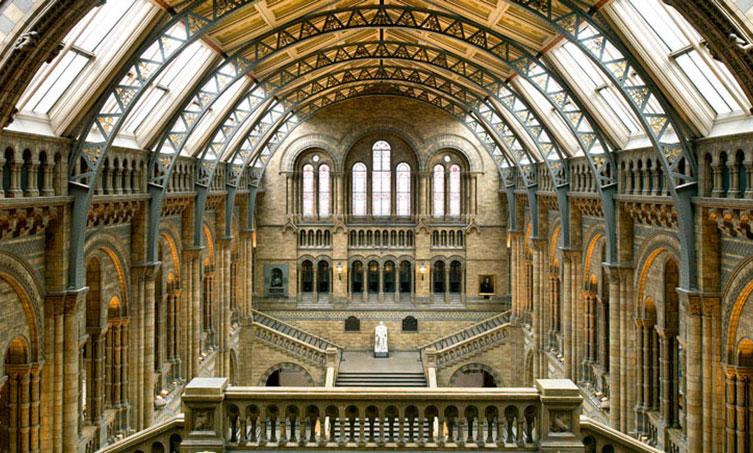Hintze Hall today