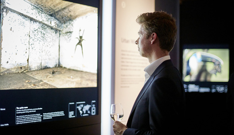 Man in a suit looking at a photography exhibition