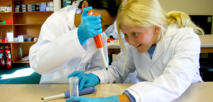 Students taking part in a Decoding Nature activity