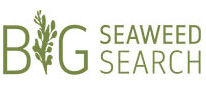 Big Seaweed Search logo