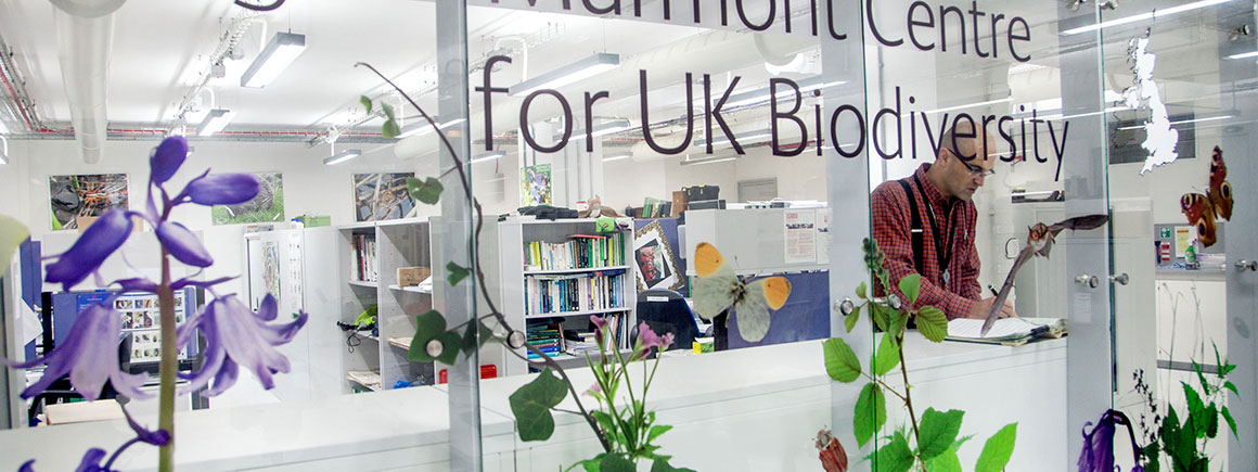 View into the Angela Marmont Centre for UK Biodiversity