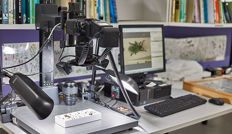 Photography equipment available to book at the Centre for UK Biodiversity