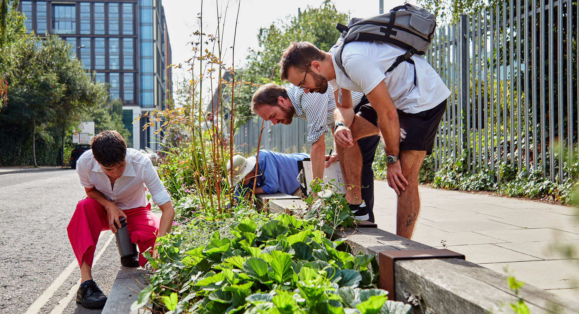 People in a street examining plants in the kerb