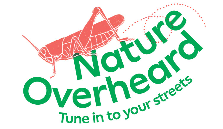 Nature Overheard logo with a cartoon grasshopper making sounds