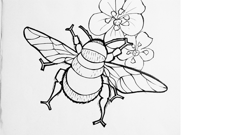 Bumblebee drawing.